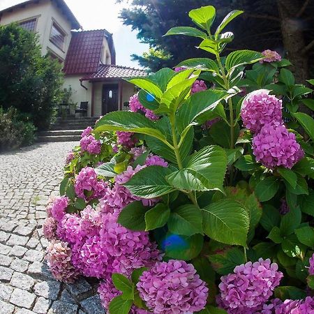 Villa Jasmin Zielona Góra Kültér fotó