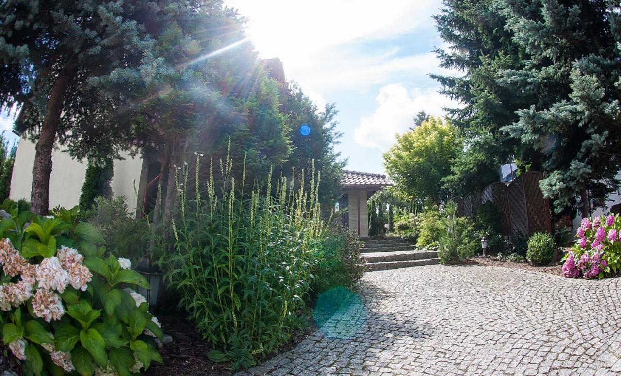Villa Jasmin Zielona Góra Kültér fotó