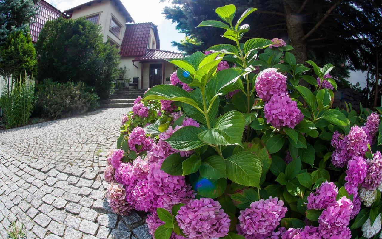 Villa Jasmin Zielona Góra Kültér fotó